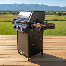 Load image into Gallery viewer, BBQ Boards®, Weber Spirit [Reinvented] Side Boards (Sold As A Matching Pair)